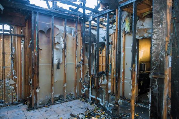 Professional Fire Damage Removal technician working in Alpine, UT